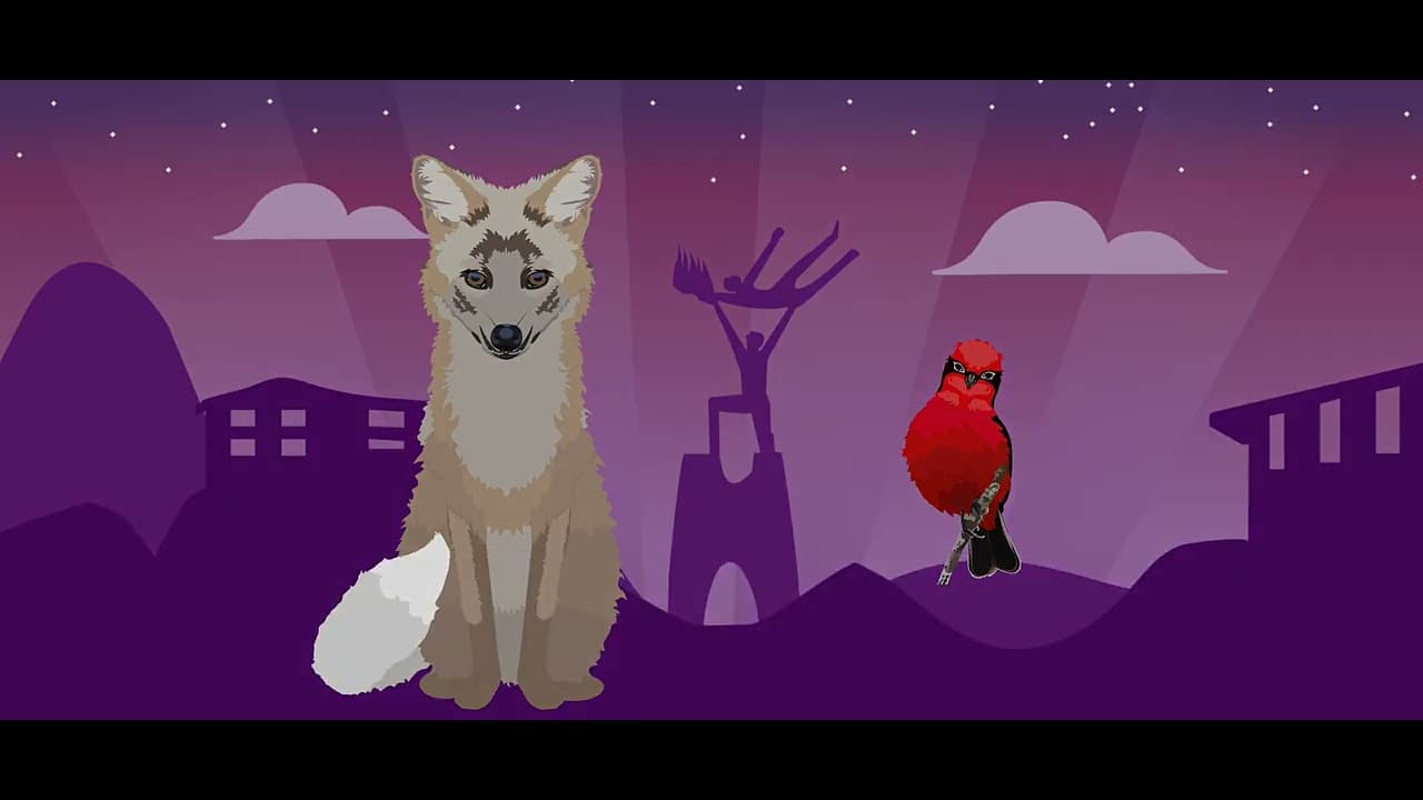 Video de Rauzo